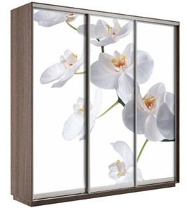 Шкаф 3-дверный Экспресс 2400х600х2200, Орхидея белая/шимо темный в Смоленске