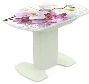 Кухонный раскладной стол Корсика исп. 2 Фотопечать (Цветы №44) 1200(1515)*800 в Смоленске
