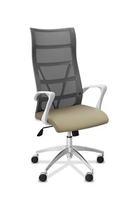 Офисное кресло для руководителя Топ X белый каркас, сетка/ткань TW / серая/светло-серая в Смоленске