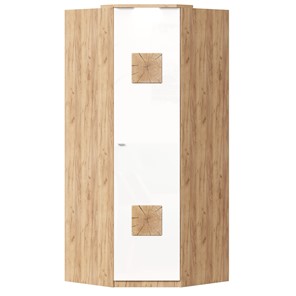 Шкаф угловой 45 с декоративной накладкой Фиджи, 659.248, белый в Смоленске