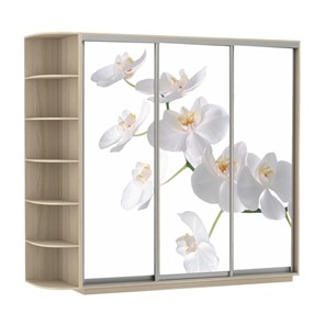 Шкаф Экспресс со стеллажом, 2100х600х2200, Орхидея белая/шимо светлый в Смоленске - предосмотр