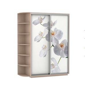 Шкаф 2-х створчатый Экспресс 1900x600x2200, со стеллажом, Орхидея белая/дуб молочный в Смоленске