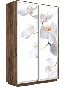Шкаф Экспресс 1200x450x2400, Орхидея белая/дуб табачный в Смоленске