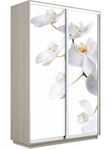Шкаф 2-дверный Экспресс 1400x600x2200, Орхидея белая/шимо светлый в Смоленске