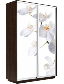 Шкаф 2-створчатый Экспресс 1400x600x2400, Орхидея белая/венге в Смоленске