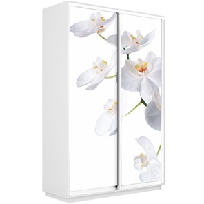 Шкаф 2-х створчатый Экспресс 1600x450x2400, Орхидея белая/белый снег в Смоленске