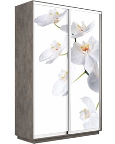 Шкаф-купе Экспресс 1600x600x2400, Орхидея белая/бетон в Смоленске