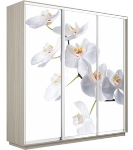 Шкаф 3-створчатый Экспресс 2100х600х2200, Орхидея белая/шимо светлый в Смоленске - предосмотр