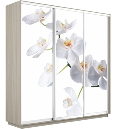 Шкаф 3-х дверный Экспресс 2400х600х2200, Орхидея белая/шимо светлый в Смоленске - изображение