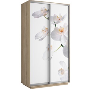 Шкаф 2-дверный Хит 1200x600x2200, белая орхидея, ясень шимо светлый в Смоленске