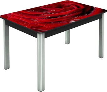Кухонный стол раздвижной Гамбург исп. Мини, ноги метал. крашеные №23, Фотопечать (Цветы №39) в Смоленске