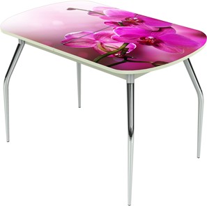 Кухонный раздвижной стол Ривьера исп.1 ноги метал. крашеные №24 Фотопечать (Цветы №16) в Смоленске