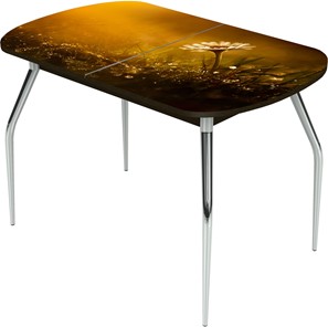 Кухонный стол раскладной Ривьера исп.2 ноги метал. крашеные №24 Фотопечать (Цветы №43) в Смоленске