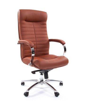 Компьютерное кресло CHAIRMAN 480 Экокожа Terra 111 (коричневая) в Смоленске - изображение