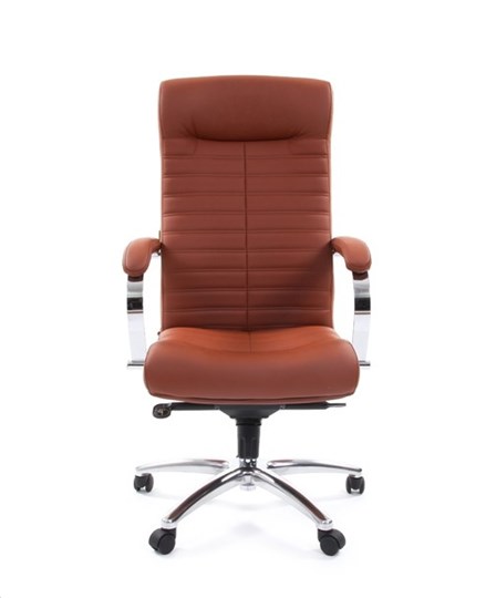 Компьютерное кресло CHAIRMAN 480 Экокожа Terra 111 (коричневая) в Смоленске - изображение 1