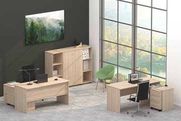 Набор мебели в офис Twin в Смоленске - предосмотр 4