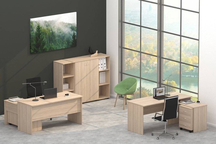 Набор мебели в офис Twin в Смоленске - изображение 4