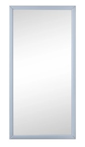 Настенное зеркало Ника (Серый) 119,5 см x 60 см в Смоленске