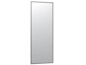 Зеркало навесное в гардероб Сельетта-6 матовое серебро (1100х400х9) в Смоленске