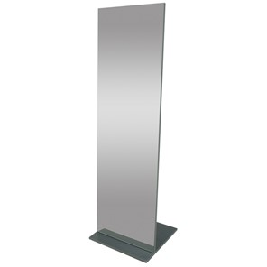 Зеркало напольное в гардероб Стелла (графит темный) 163,5 см x 50 см в Смоленске
