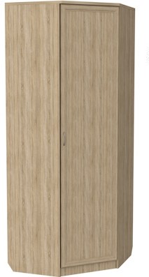 Шкаф распашной 400 угловой, цвет Дуб Сонома в Смоленске - изображение