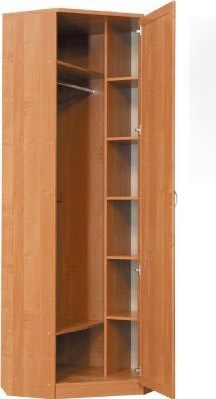 Шкаф распашной 402 угловой со штангой, цвет Дуб Сонома в Смоленске - изображение 1