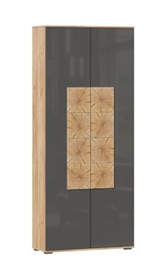 Шкаф двухстворчатый Фиджи с декоративными накладками 659.310, Дуб Золотой/Антрацит в Смоленске