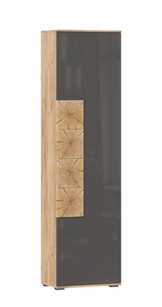 Шкаф одностворчатый Фиджи с декоративными накладками 659.300, Дуб Золотой/Антрацит в Смоленске - изображение