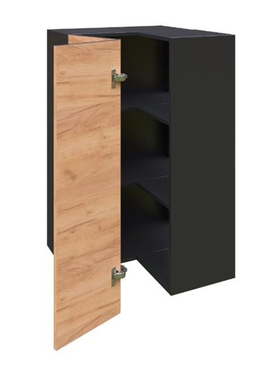 Шкаф кухонный угловой высокий Шервуд, ЛД 281.570.000.043, дуб золотой/черный в Смоленске - изображение 1