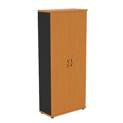 Шкаф для одежды Моно-Люкс R5S05 в Смоленске - изображение